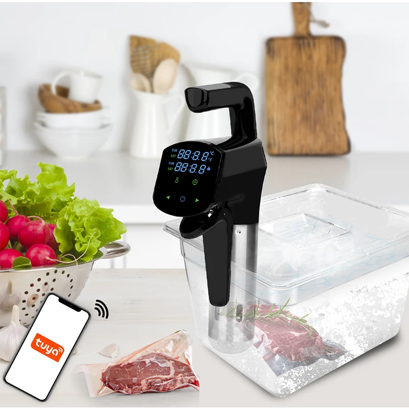 Mesin Sous Vide Komersial 110V - Home Cooking Machine ulasan dan harga